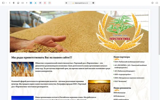 Скриншот сайта tdperspektiva.ru